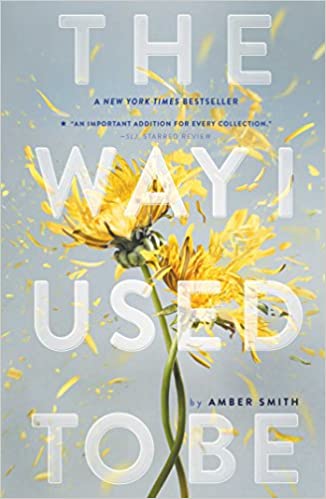 Amber Smith - The Way I Used to Be Audio Book Free